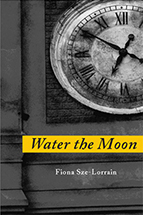 Image: Water the Moon